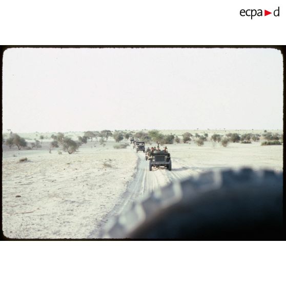 Jeeps sur la piste. [légende d'origine]<br>