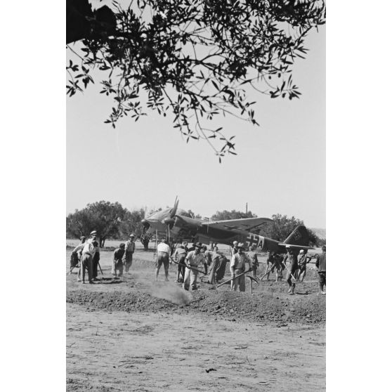 Sur le terrain d'aviation de Kastelli, en Crète, des ouvriers crétois travaillent à l'agrandissement de l'aérodrome.