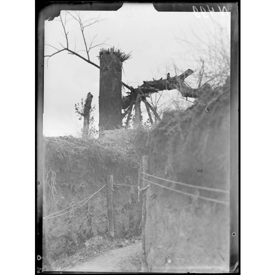 Région d'Aubérive (Marne), arbre artificiel construit par les camoufleurs pour servir de poste d'observation. [légende d'origine]