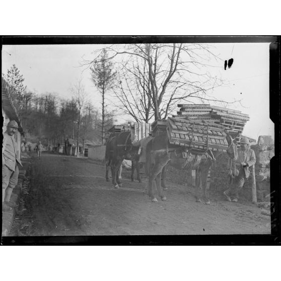 Argonne, Est (Meuse). Secteur du Four-de-Paris. Transport de caillebotis à dos de mulets. [légende d'origine]