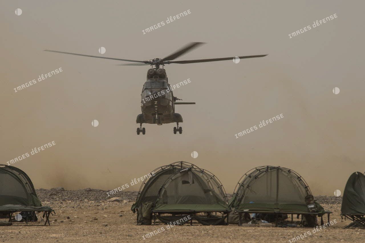 Atterrissage d'un hélicoptère Puma SA-330 sur la base opérationnelle avancée temporaire (BOAT) du 126e régiment d'infanterie (126e RI) dans le désert malien.