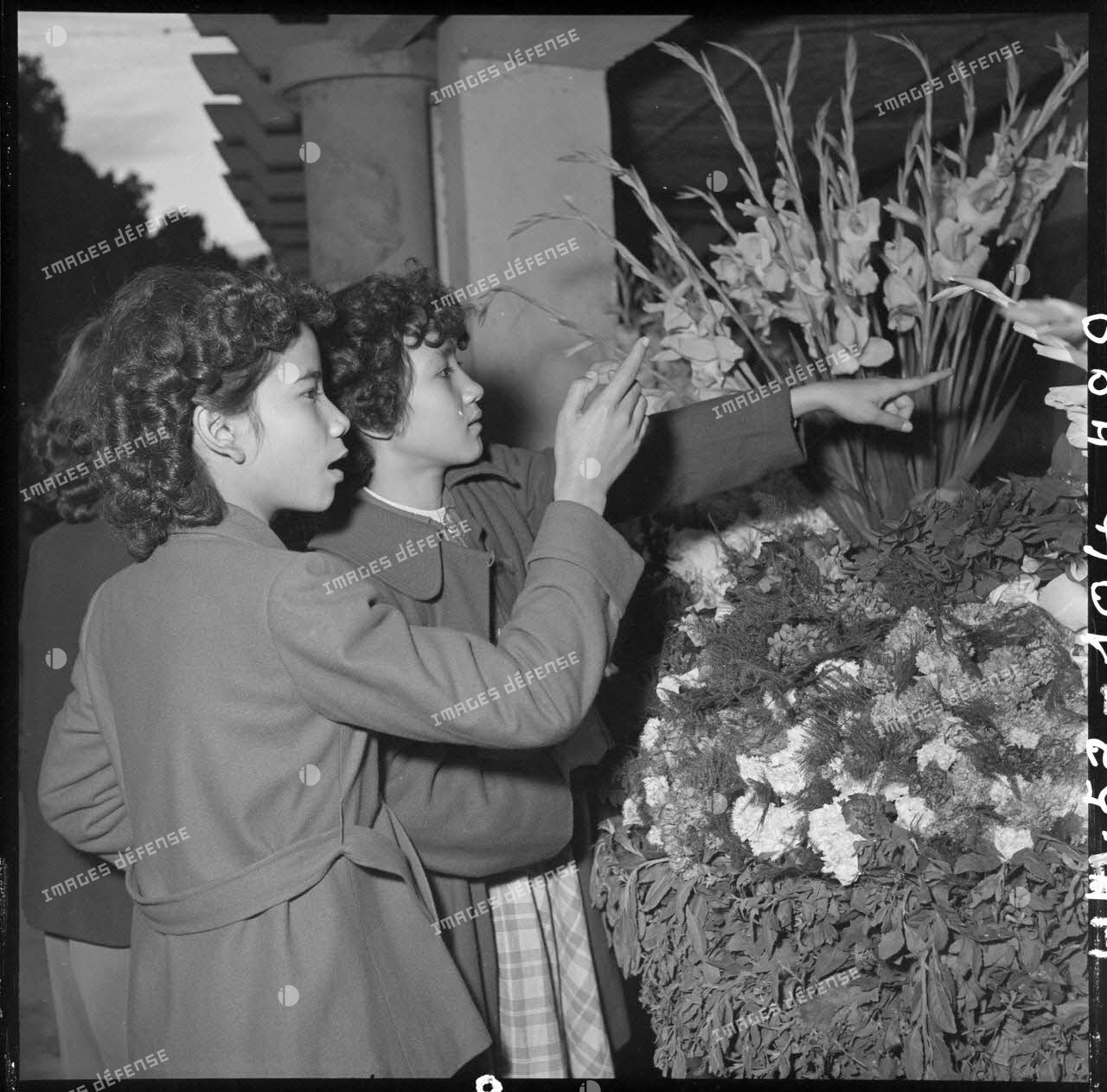Portrait de jeunes femmes achetant des fleurs pour les préparatifs de Noël.