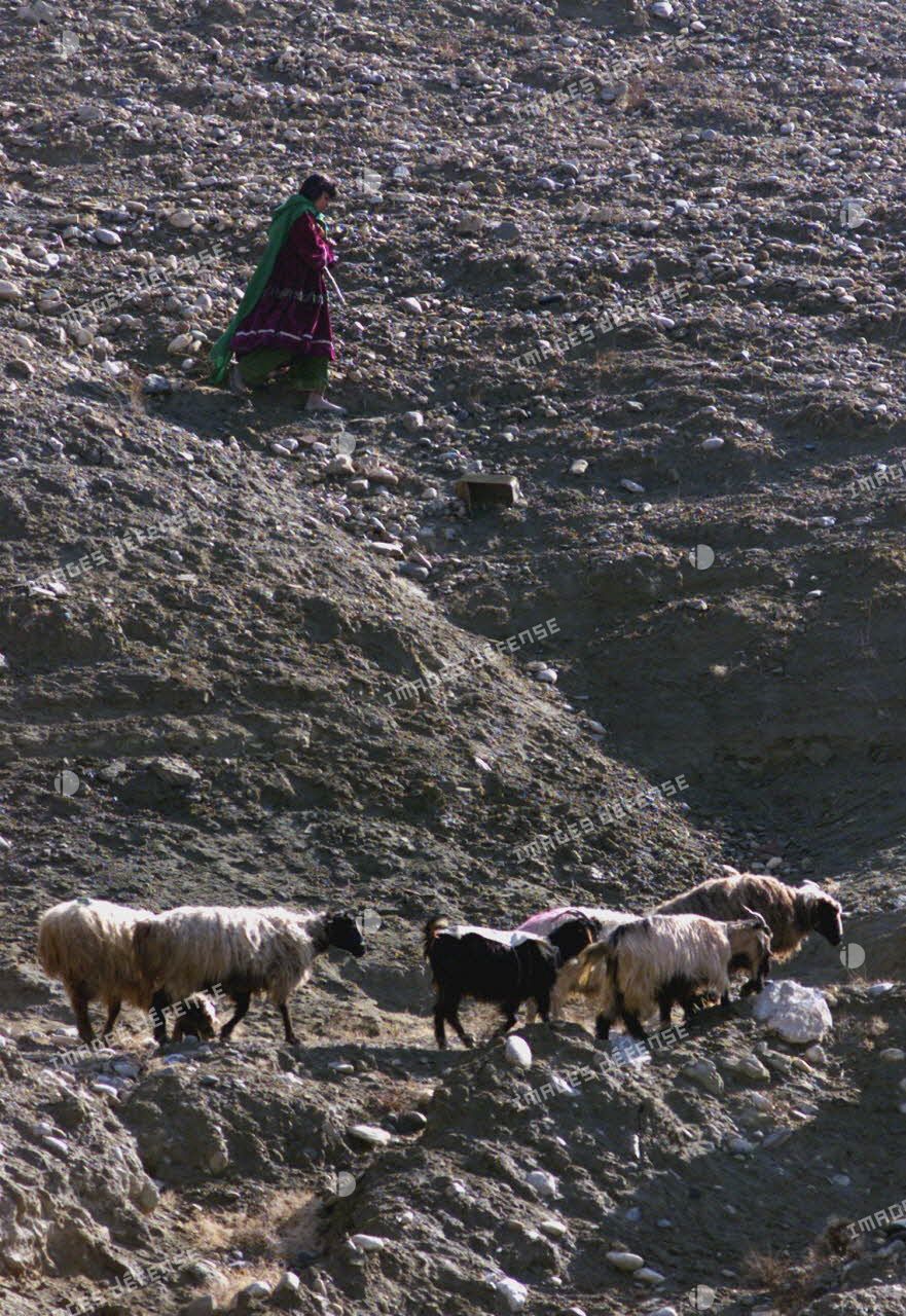 Bergère près de Kaboul.