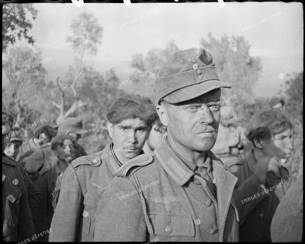Des fantassins allemands, appartenant probablement à la 71. Infanterie-Division (division d'infanterie) et faits prisonniers lors de la prise de Castelforte par la 3e division d'infanterie algérienne (DIA), sont rassemblés avant d'être fouillés.