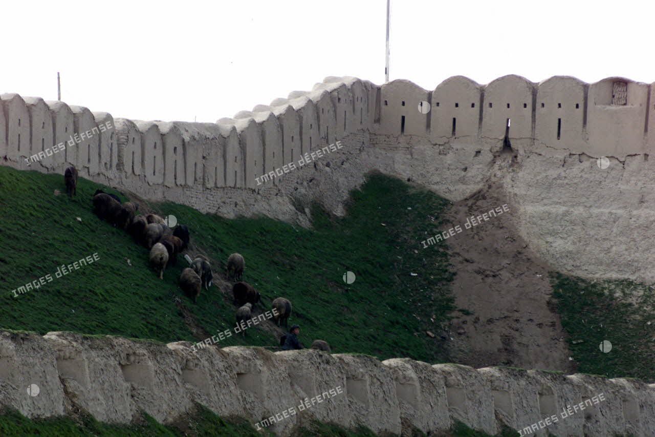 Remparts de la citadelle de Quala i Jangi près de Mazar e Charif, où des moutons broutent.