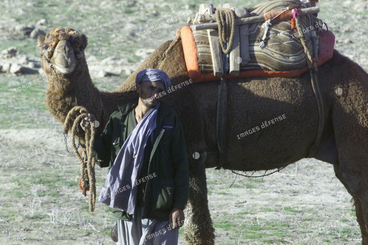 Les Afghans tadjiks du clan du général Ata sécurisent l'aéroport de Mazar e Charif tout en continuant à cultiver les champs aux alentours. Portrait d'un paysan avec son dromadaire.