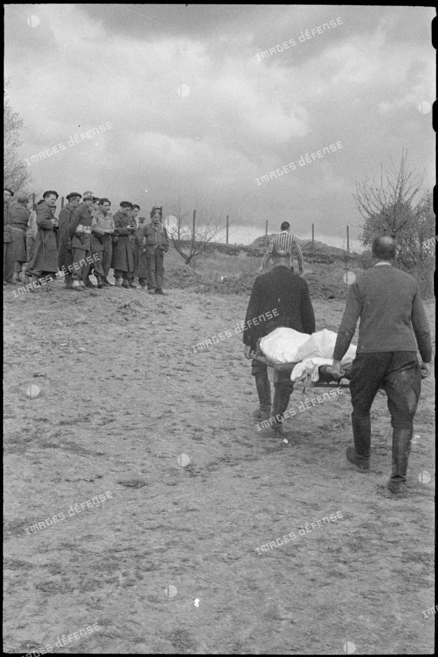 Sous les yeux des sodats français qui ont libéré le camp, des civils allemands transportent jusqu'à une fosse commune des cadavres de déportés.