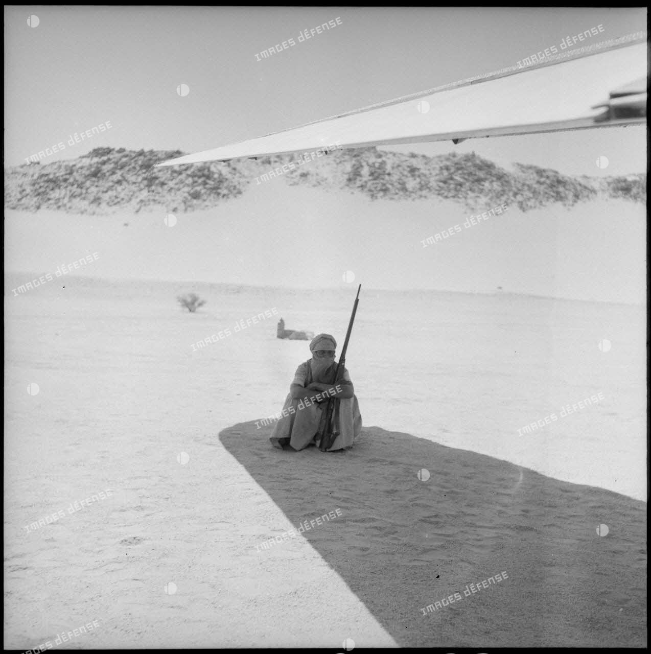 Le garde de l'avion de Max Lejeune veille à l'ombre d'une aile.
