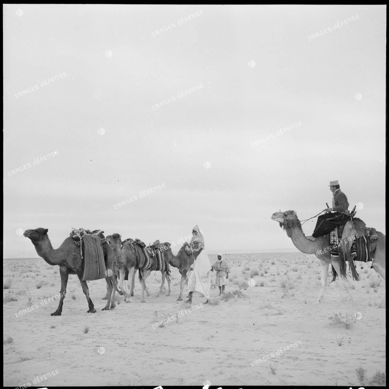 La patrouille de méharistes de la compagnie méhariste de l'erg oriental (CMEO) laisse repartir une caravane après un contrôle dans la région d'El Oued.