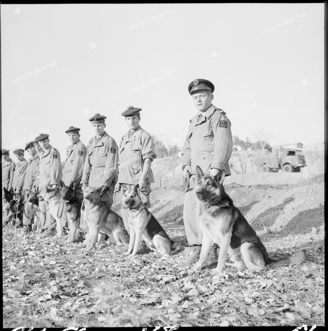 Un groupe de fusiliers marins en rang avec leurs chiens près de la frontière algéro-marocaine.