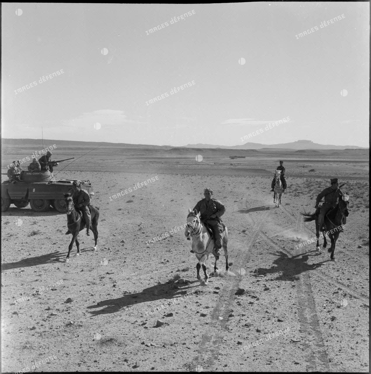 Harka à cheval en zone désertique, djebel Ouenza.