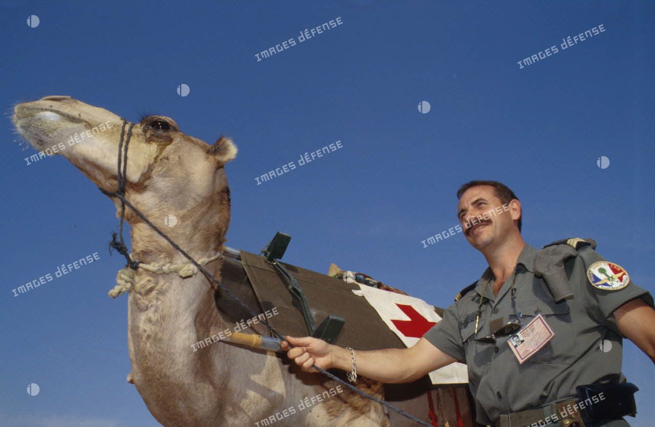 Un sergent-chef de l'armée de l'Air mène un dromadaire utilisé comme ambulance du SSA (Service de santé des armées) et transportant un brancard.