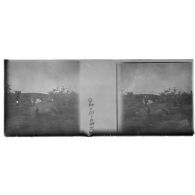 [Cadavre d'éléphant sur le sol].