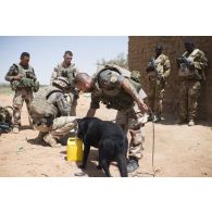 Le sergent-chef Julien du 132e bataillon cynophile de l'armée de terre (BCAT) et son chien Moro recherchent des traces de matière explosive dans un village des monts Farach, au Mali.