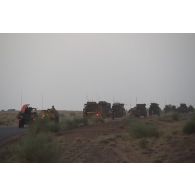 Des véhicules blindés de l'escadron Vert progressent en convoi dans la région de Gao, au Mali.