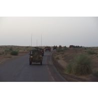Des véhicules blindés de l'escadron Vert progressent en convoi dans la région de Gao, au Mali.