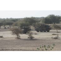 Des blindés à roues et canon AMX-10 RC du 1er régiment étranger de cavalerie (REC) progressent dans la région de Gao, au Mali.