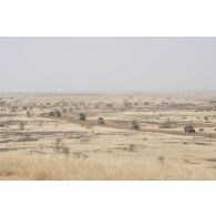 Des véhicules blindés de l'escadron Vert progressent en convoi dans la région de Gao, au Mali.
