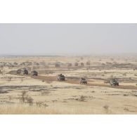 Des véhicules blindés de l'escadron Vert progressent en convoi dans la région de Gao, au Mali.