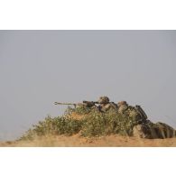 Des tireurs d'élite longue distance (TELD) de la section d'appui du 92e régiment d'infanterie (RI) observent le terrain depuis un point haut de la région de Gao, au Mali.
