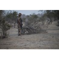 Un démineur du 13e régiment du génie (RG) contrôle une forêt de la région de Bitagoungou, au Mali.