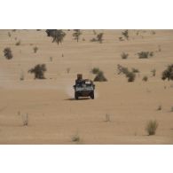 Un véhicule blindé léger (VBL) progresse en reconnaissance dans la région de Bitagoungou, au Mali.
