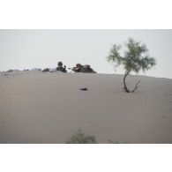 Des soldats du groupe de tireurs d'élite longue distance (TELD) sécurisent le périmètre dans la région de Bitagoungou, au Mali.