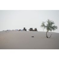 Des soldats du groupe de tireurs d'élite longue distance (TELD) sécurisent le périmètre dans la région de Bitagoungou, au Mali.