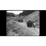 Maroc : 14 Juillet à Rabat. Fête du Ramadan à Rabat. Mouvement de troupes dans le Moyen-Atlas Marocain.