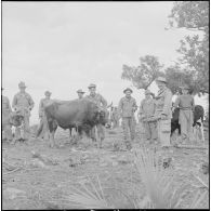 Visite des journalistes après l'opération de Tebessa. [Description en cours]