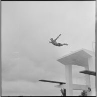 Championnat de natation d'Afrique du Nord à Maison-Carrée. [Description en cours]