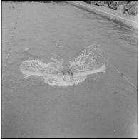 Championnat de natation d'Afrique du Nord à Maison-Carrée. [Description en cours]