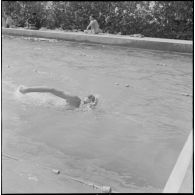 Championnat de natation d'Afrique du Nord à Maison-Carrée. [Description en cours]