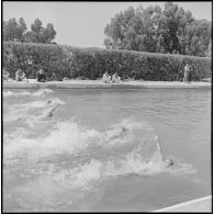 Championnat de natation d'Afrique du Nord à Maison-Carrée. [Description en cours]