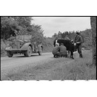 Dans le secteur de Harmor (Belgique), des reporters de la 4e compagnie de propagande de l'armée de l'air s'intéressent à une vache.