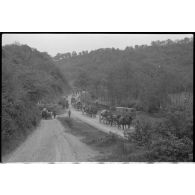 Une colonne hippomobile de l'armée de terre allemande dans le secteur de Harmor (Belgique).