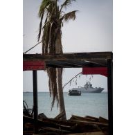 Un engin de débarquement amphibie rapide (EDAR) aborde la plage de Friar's Bay pour le débarquement d'engins du génie sur l'île de Saint-Martin, aux Antilles.