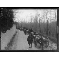 Route de Villers-Cotterêts (Aisne). Troupes anglaises allant au repos. [légende d'origine]