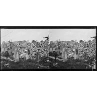 Juvigny, le cimetière. [légende d'origine]