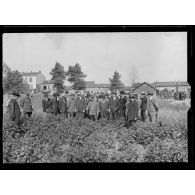 Visite des jardins potagers du 1e zouaves. St Denis. Fort de l'Est. Visite des jardins. [légende d'origine]