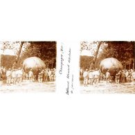 Champagne (Hans). Ballonnet Allemand distributeur de Journaux. [légende d'origine]