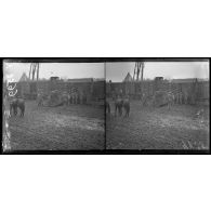 Méru, Oise, en gare, troupes américaines montant au combat. Débarquement des chevaux. [légende d'origine]