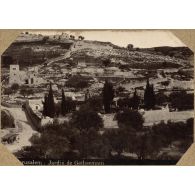 Jerusalem. Jardin de Gethsemani. [légende d'origine]