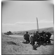 Mise en batterie d'un canon antichar américain de 37 mm M3 par une unité du 19e CA (corps d'armée) dans la région de Zaghouan.