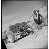 Mise en batterie d'un canon antichar américain de 37 mm M3 par une unité du 19e CA (corps d'armée) dans la région de Zaghouan.