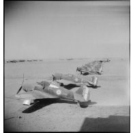 Chasseurs Curtiss H-35 Hawk (ou P-36) parqués sur le terrain de l'école de l'Air de Marrakech.