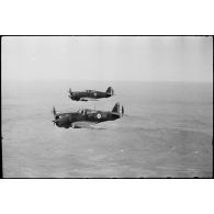 Chasseurs Curtiss H-75 Hawk (ou P-36) de l'école de l'Air de Marrakech lors d'un vol d'instruction en formation.