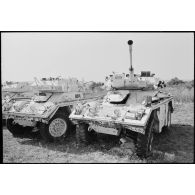 Véhicules nigérians abandonnés au Liban sud.