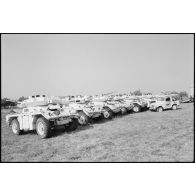 Véhicules nigérians abandonnés au Liban sud.