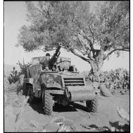 Dans le secteur de Fondouk el-Okbri, des soldats d'un bataillon de chasseurs de chars de la 1re DB (division blindée) du 2e CA (corps d'armée) américain, embarquent à bord de leur canon automoteur M3 GMC, canon de 75 mm monté sur châssis d'half-track M3.